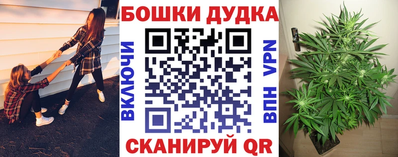 МАРИХУАНА ГИДРОПОН Новоржев